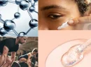 Peptides Vücutta Hangi Fonksiyonları Düzenlerler?