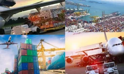 Uluslararası Nakliyat ile Hangi Malzemeler Taşınır?
