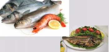 Gıda Ürünlerinde Deniz Mahsülleri