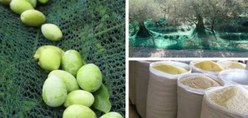 Bazı Ürünlerin Saklanması İçin neden File Çuval Kullanılır