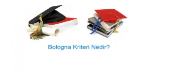 Bologna Kriteri Nedir?