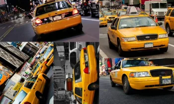 Neden Taksi Plakası Almalısınız?