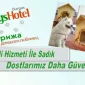 Köpek Oteli İle Artık Sadık Dostlarınız Daha Da Güvende