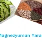 Magnezyumun Faydaları