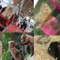 Pet Forum Siteleri İle Hayvan Dostları İle İletişim Kurun