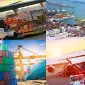 Uluslararası Nakliyat ile Hangi Malzemeler Taşınır?