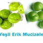 Yeşil Erik Mucizesi