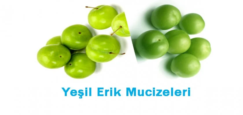 Yeşil Erik Mucizesi