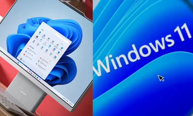 windows-2-li-2